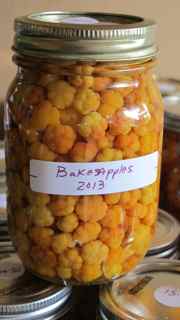 bakeapples