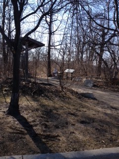 DVP trail head